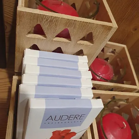 Mh Olen Boutique Alagna Valsesia