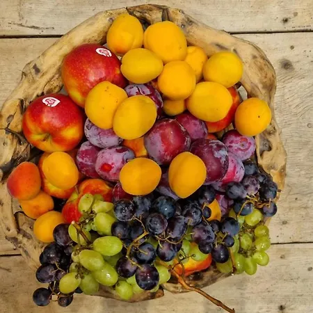 Hotel Mh Olen Boutique