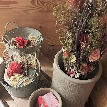 Otel Mh Olen Boutique Alagna Valsesia